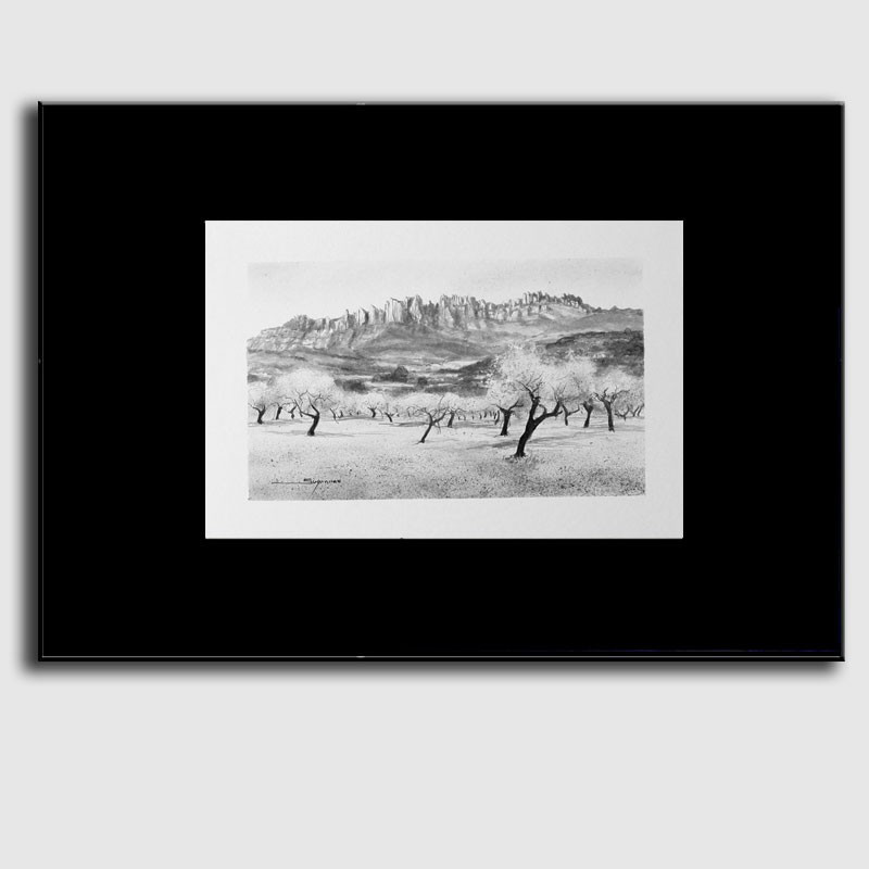 Ametllers - Montserrat Ametllers - Montserrat