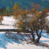 Pedraforca nevat