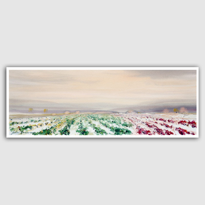 Xavier Galiza - Acuarelas