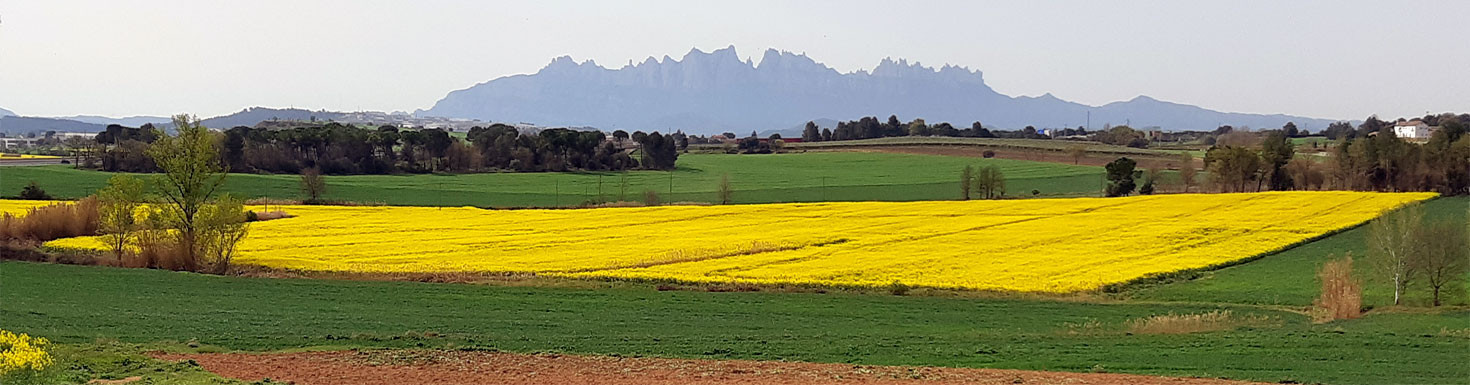 CUADROS PAISAJES