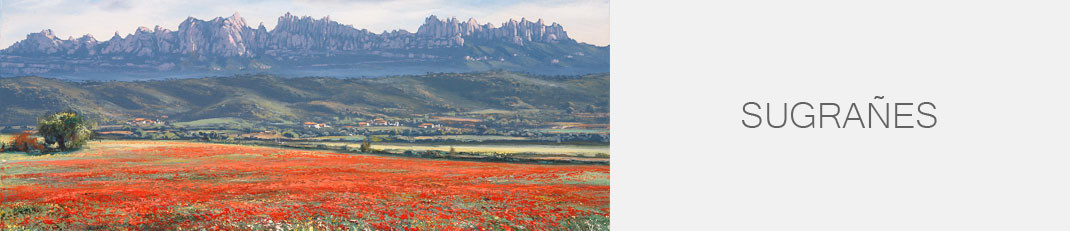 Cuadros Originales Sugrañes