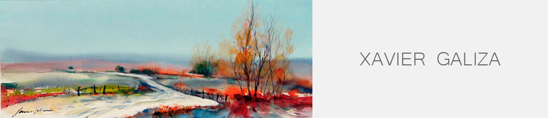 Xavier Galiza